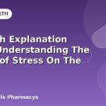 In-Depth Explanation About Understanding The Effects of Stress On The Body