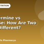 Phentermine vs Vyvanse: How Are Two Meds Different?