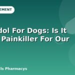 Tramadol For Dogs: Is It A Safe Painkiller For Our Pet?
