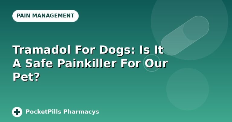 Tramadol For Dogs: Is It A Safe Painkiller For Our Pet?