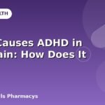 What Causes ADHD in the Brain: How Does It Affect