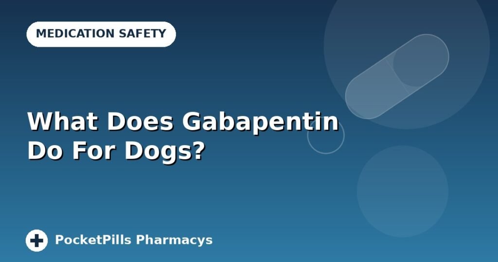What Does Gabapentin Do For Dogs?