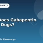 What Does Gabapentin Do For Dogs?
